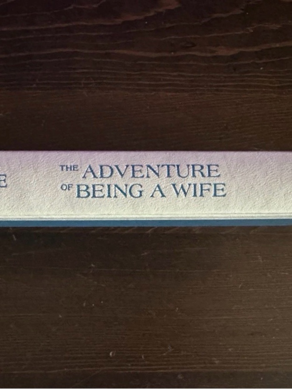 Vintage 1971 The Adventure of Being a Wife Hardcover Book - Blue
